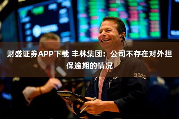 财盛证券APP下载 丰林集团：公司不存在对外担保逾期的情况